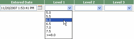 qualitative data entry